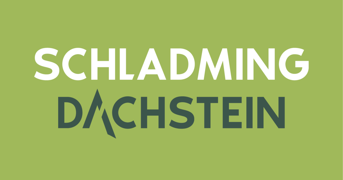 Logo_SD_RGB_Schliere_oben.04cff273